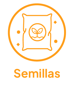 SEMILLAS